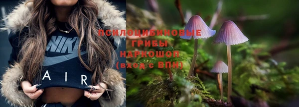 mix Арсеньев