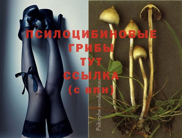 mix Арсеньев